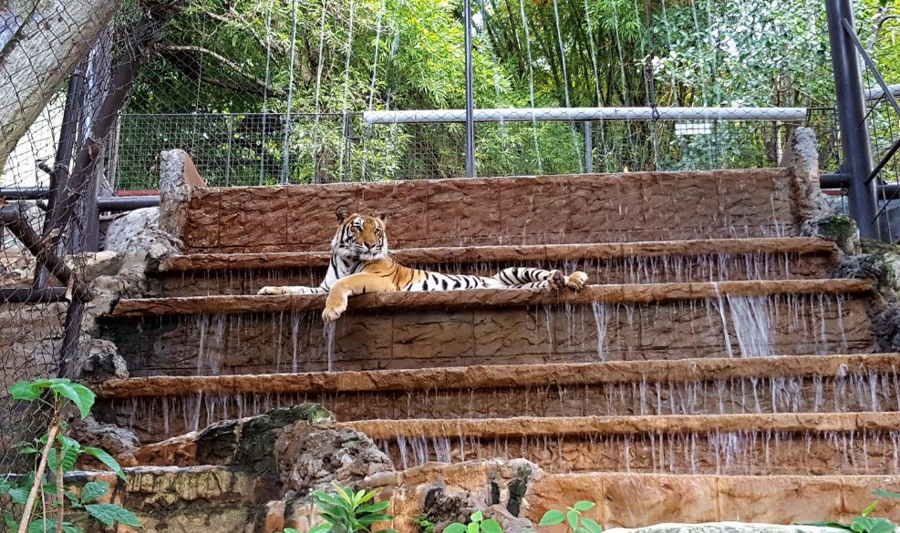 Emperor Valley Zoo, Port of Spain, Trinidad, Trinidad and Tobago